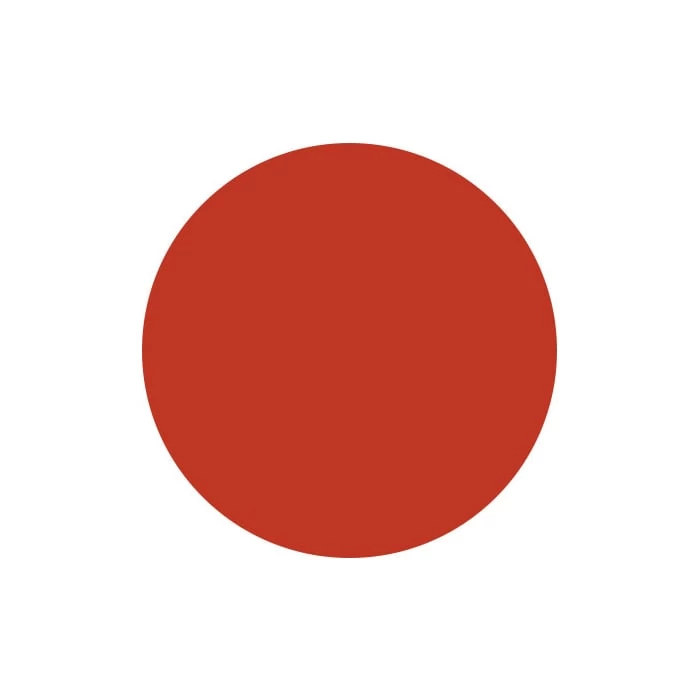 SNS Dipping Powder AC12 Canon In D - Image 2